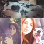 Sitter Profile Image: Estefanía F.