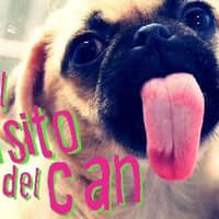 Foto del cuidador: Aby B.