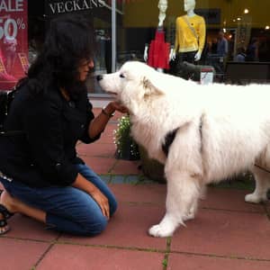 Shweta K.