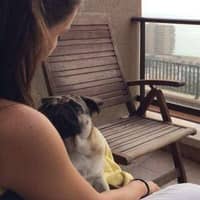 Foto del cuidador: Lara P.