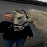 Sitter Profile Image: Bev H.