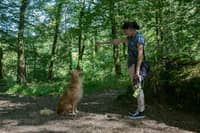 Photo de profil du pet sitter : Lydie B.