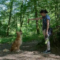 Photo de profil du pet sitter : Lydie B.