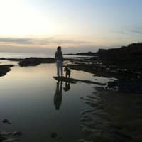 Foto de perfil del cuidador: Thais S.
