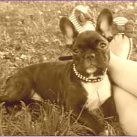 Foto del cuidador: Patricia T.