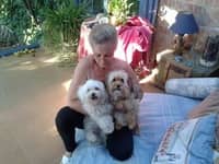 Foto del cuidador: Mª Antonia M.