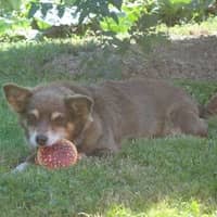 Immagine del profilo del sitter: vera marta v.