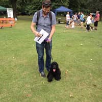 Sitter Profile Image: Neil G.