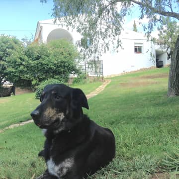Image 0