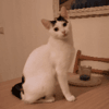 mediablock image