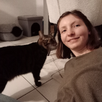 Bild 0