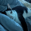 mediablock image