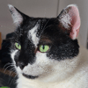 Photo de profil