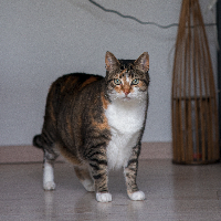Bild 0