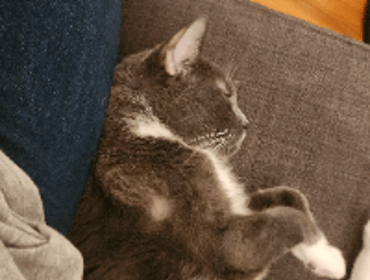 Image 0