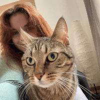 Sitterprofilbild: Sandra N.