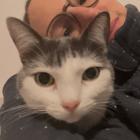 Sitterprofilbild: Stephanie C.