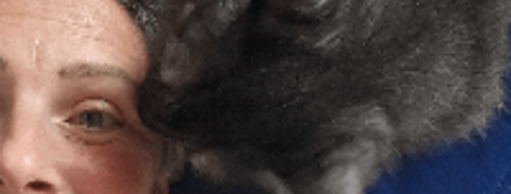 Image 0