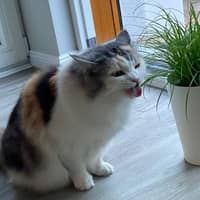 Sitterprofilbild: Regina K.