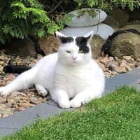 Sitterprofilbild: Sabrina S.