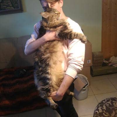 Profilbild
