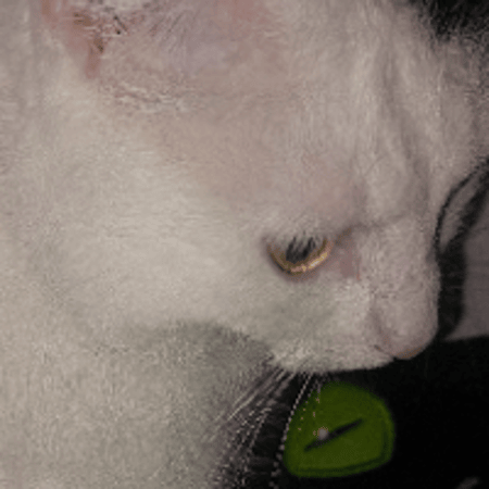 Profilbild
