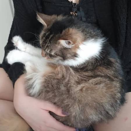 Profilbild