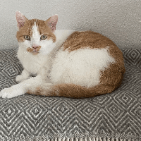 Sitterprofilbild: Lena D.