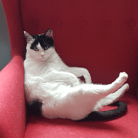 Sitterprofilbild: Denise F.