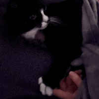 Sitterprofilbild: Lena S.