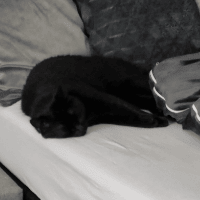 Sitterprofilbild: Brigitte S.