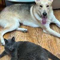 Sitter Profile Image: Sandra R.