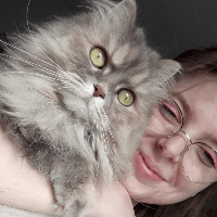 Profilbild