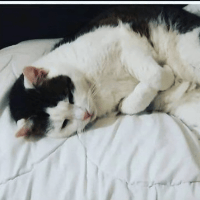 Sitterprofilbild: Yvonne H.