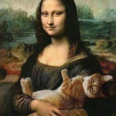 Profilbild