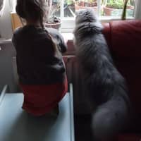 Sitter Profile Image: Theresa T.