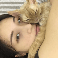 Sitterprofilbild: Yingying H.