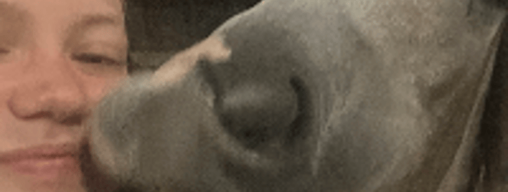Bild 0