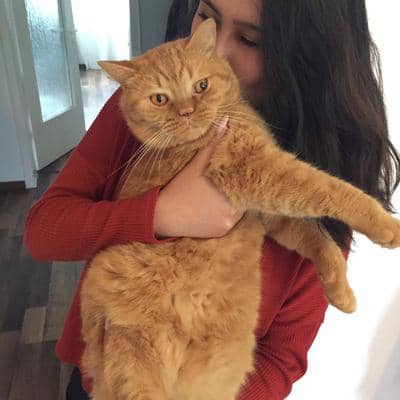 Profilbild