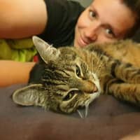 Sitterprofilbild: Sarah K.