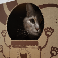 Sitterprofilbild: Saskia B.