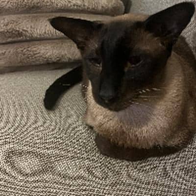 Profilbild