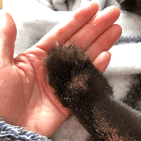 Sitterprofilbild: Katja W.