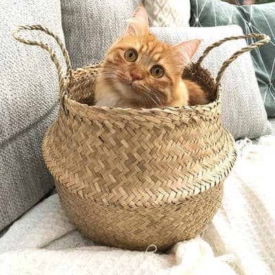 Profilbild