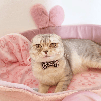 Sitterprofilbild: Bisma J.