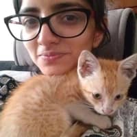 Sitterprofilbild: Rekha S.