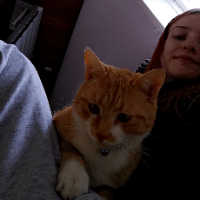 Sitterprofilbild: Luna S.