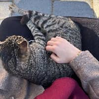 Sitterprofilbild: Dija S.