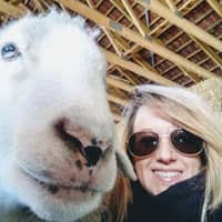 Sitterprofilbild: Roswitha W.