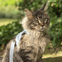 Sitter Profile Image: Jennifer W.